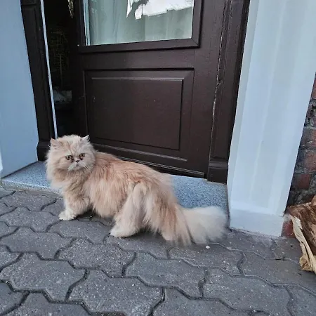 Magical Places Unter Den Linden * Reszel