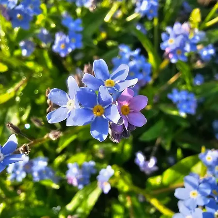 Magical Places Unter Den Linden Apartamento *