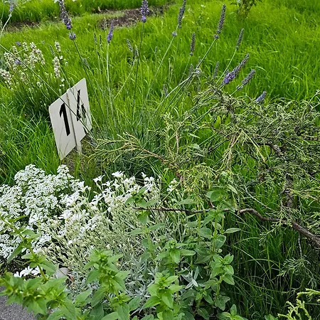 公寓 Magical Places Unter Den Linden *