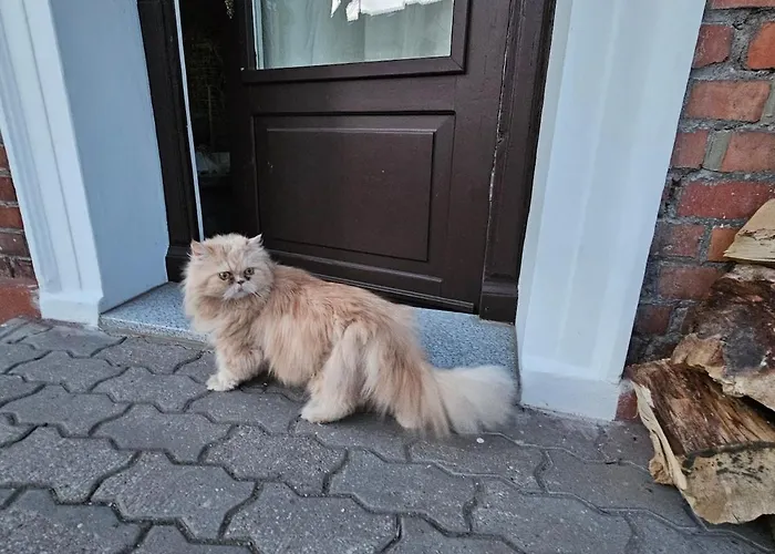 Magical Places Unter Den Linden * Reszel